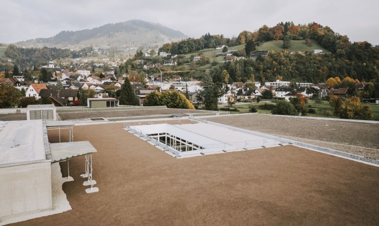 Begrüntes Dach aus Vogelperspektive